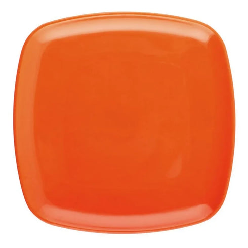 Portable Plastic Plate