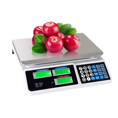 Price Computing Scale.