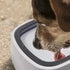 Pet Drinking Fountain Bowl