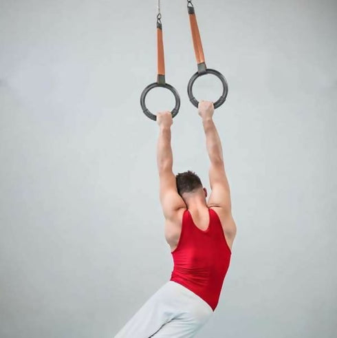 Sports Fitness Gymnastic Rings
