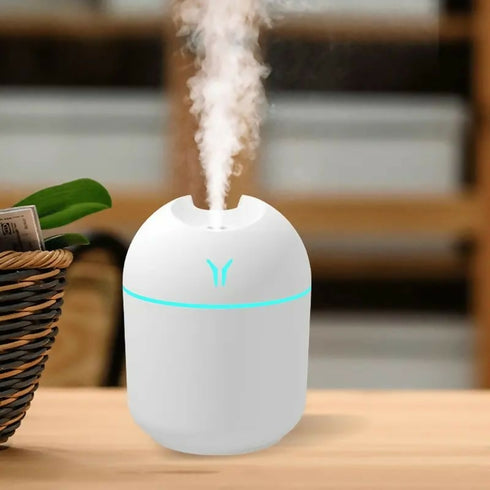 Air Humidifier Cute Aroma Diffuser