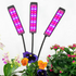 Flexible LED Grow Light Desktop Clip Phyto Lamps for Indoor Plants-3 Heads
