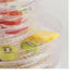 Food Preserving Dehydrator Machine