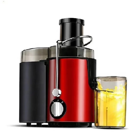 Slow Juicer Dual Speeds Juicer Extractor Machine