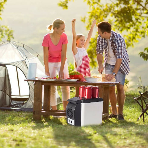 Portable Heating And Cooling Thermoelectric Cooler