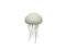 Rotating Voice Controlled Jellyfish Light