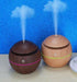Cool Mist Humidifier with Essential Oil Diffuser
