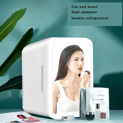 Mini Car Fridge Cooler Heater Portable Car Fridges Mirror Makeup Dual Use DC12V