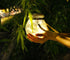 Solar Garden Light