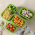 Set of 4 Silicone Lunch Box Containers