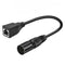 3 Dual Pin Cable 0.3m