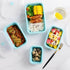Foldable Meal Prep Container for Kitchen
