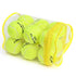 25 Piece Portable Tennis Balls