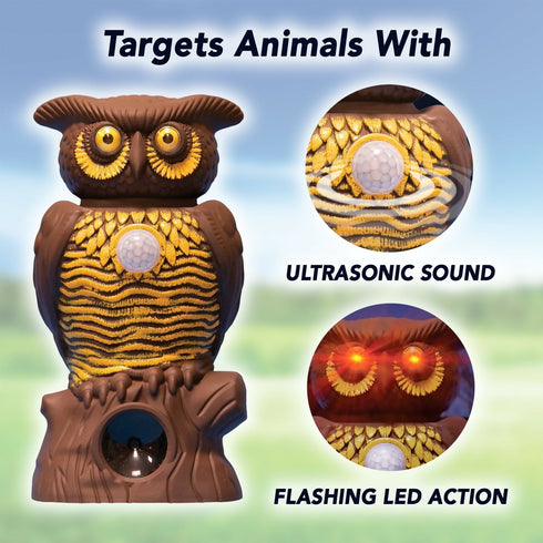 Alert Owl Statue Pest Control