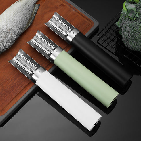 Electric Fish Scaler.