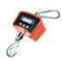 Heavy-Duty 1000kg Digital Crane Hanging Scale