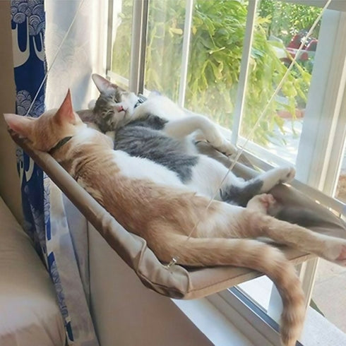 Window Mounted Cat Bed