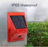 Garden Lights Solar Alarm With Remote