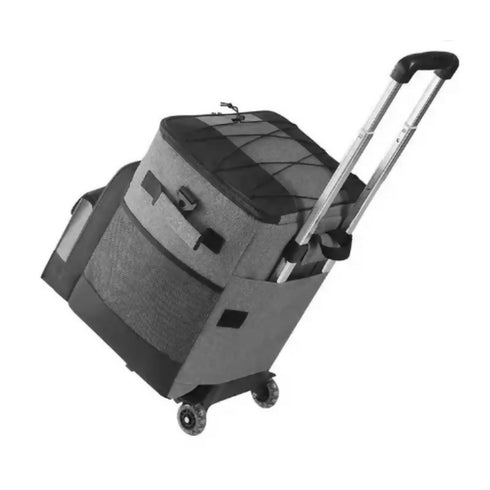 OutDoor Insulated Bag