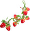 Artificial Strawberry Strings