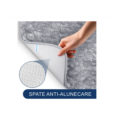 Toilet Floor Mat for Bathroom Door Entrance