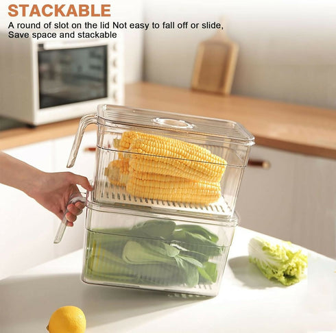 2 Pack Plastic Food Storage Produce Containers with Lid for Fridge - Transparent