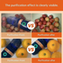 Fruit and Vegetable Washing Machine