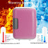 Mini Car Refrigerator Electric Cooler Warmer