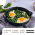 Professional Restaurant Chef Quality Pre-Seasoned Skillet Set