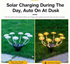 2 Pack 48LED Solar Outdoor Inserted Warm Light Mushroom Lamps