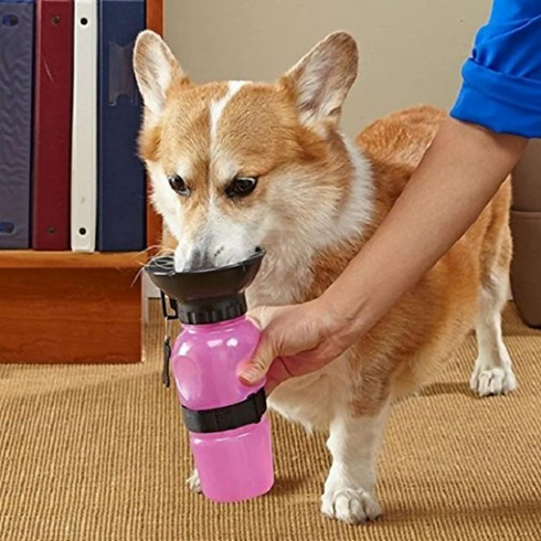 Dog Travel Water Bottle with Sipper Bowl