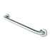 Bathroom Wall Shower Grab Bar