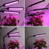 Flexible LED Grow Light Desktop Clip Phyto Lamps for Indoor Plants-3 Heads