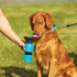 Dog Travel Water Bottle with Sipper Bowl