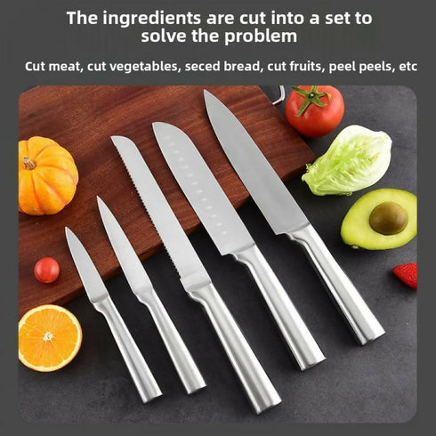 5 Piece Stainless Steel Kitchen Knifes