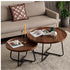 Coffee Table Set