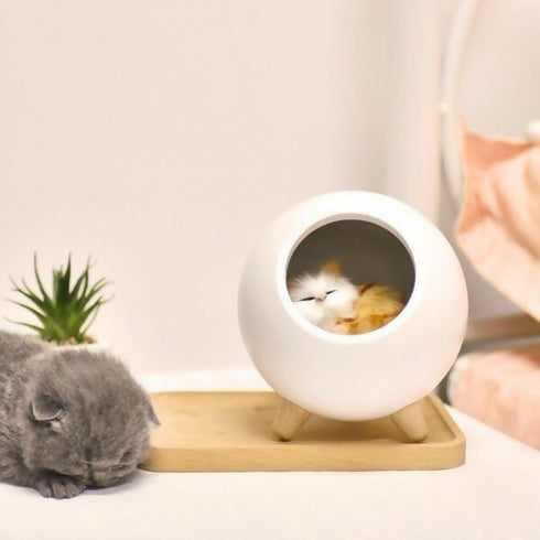 LED Lamp Cute Cat House