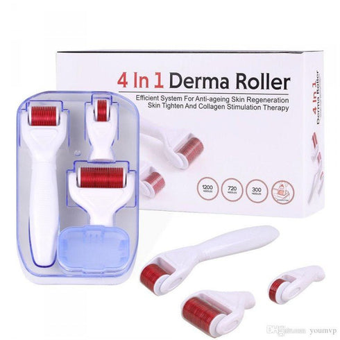 4 in 1 Derma Roller - WooTech Online Shopping In SA