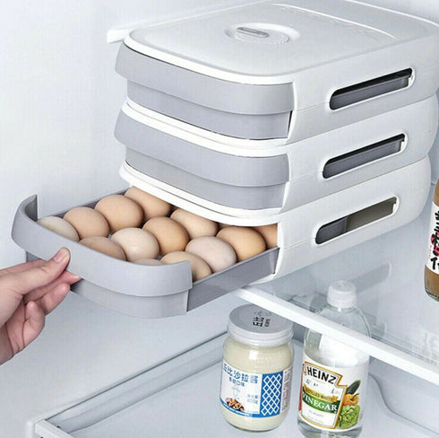 Egg Storage box