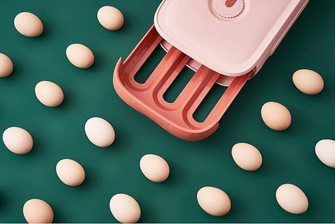 Egg Storage box